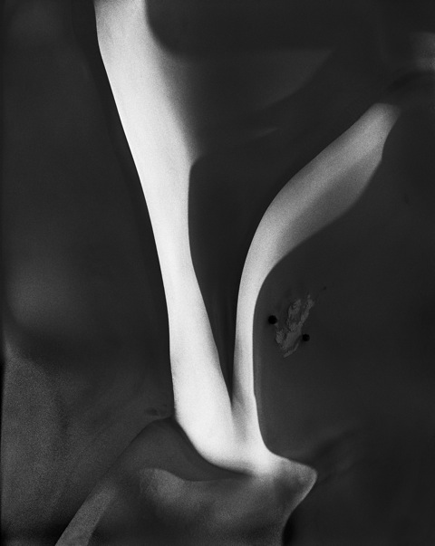ADEA-0006.7
